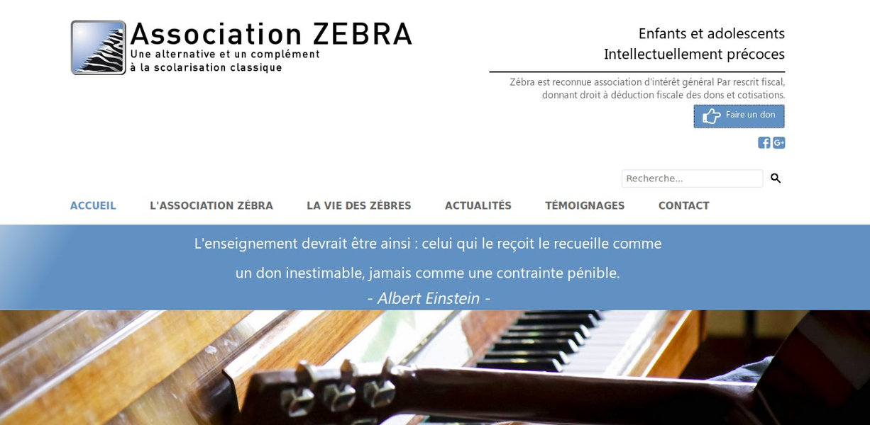 Réalisation site internet marseille - dgwdesign - Association Zebar surdoués - Marseille